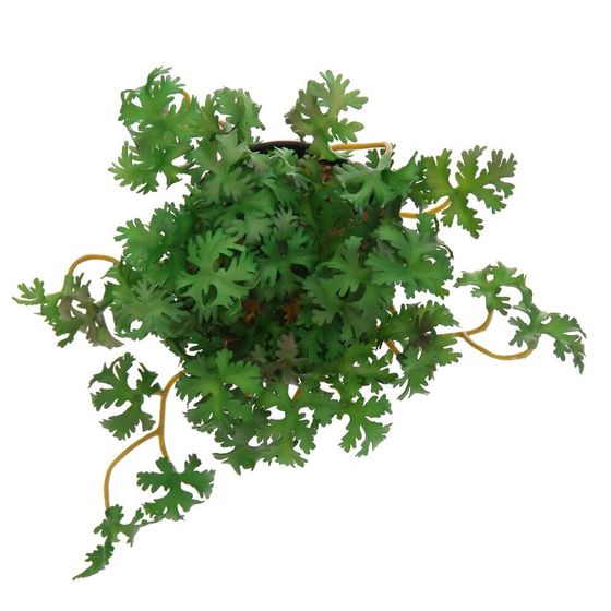 Цветочная композиция, L15 W15 H15 см