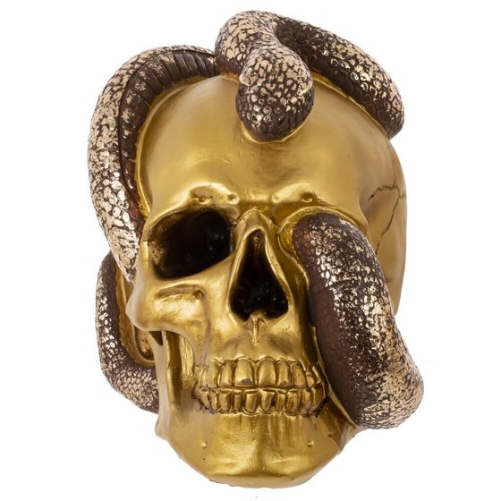 Копилка &quot;Череп со змеей&quot;, L23 W16 H18 см, 2в.