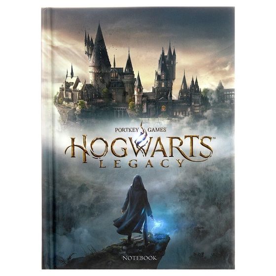 Записная книжка, А6, 48 листов, в клетку, &quot;Hogwarts Legacy. Гарри Поттер&quot;, глянцевая ламинация, блок офсет 60г/м2