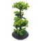 Дерево искусственное "Бонсай", L30 W13 H29 см