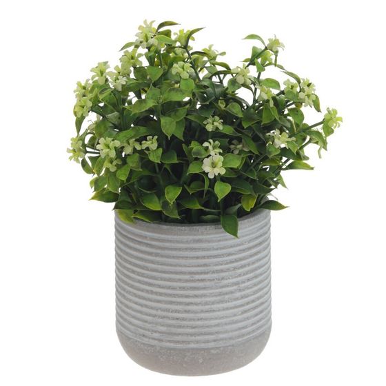 Цветочная композиция, L11 W11 H17 см, 3в.