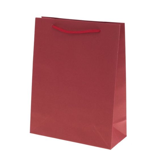 Пакет подарочный (бумага 210г/м2, блок 12шт), L19 W8 H24,5 см, 4в.