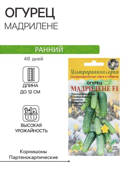 Семена Огурец &quot;Мадрилене&quot;,  F1, 6 шт