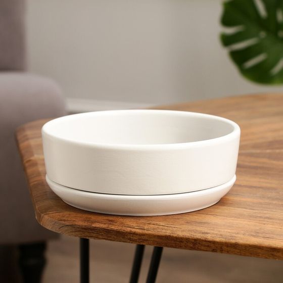 Горшок бонсайница &quot;Огма&quot; для кактусов и суккулентов, 1,4 л, 18×6,5 см, керамический, белый