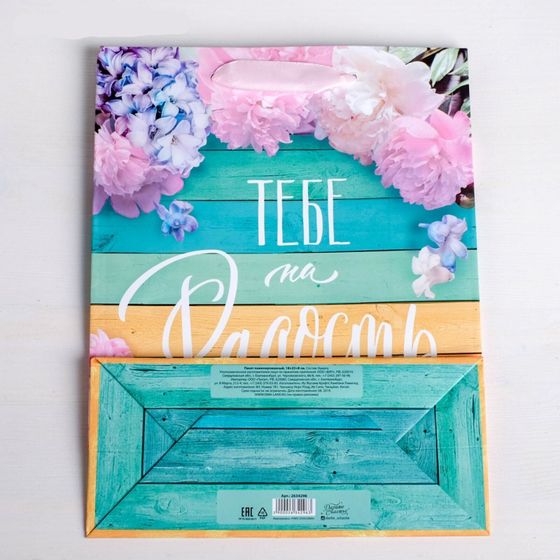 !09 НАБОР 2 ШТУКИ - Пакет ламинированный вертикальный «Тебе на радость», ML 23 × 27 × 8 см