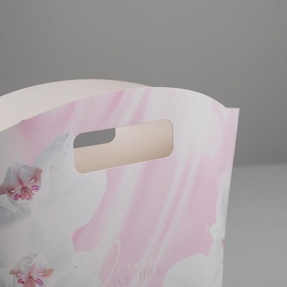 !09 Пакет подарочный z (набор 2 штуки) Dream, 23 × 22 × 6 см.