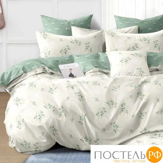 КПБ CL HOME Поплин &quot;Pure Cotton&quot; полуторный 145*215*1 150*220*1(±5) 70*70*2(±2) в ПВХ 15/189-PC/CL