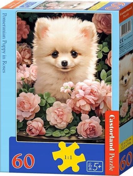 Castorland Puzzle 60 Pomeranian Puppy in Roses CASTOR