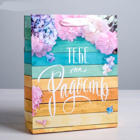 !09 НАБОР 2 ШТУКИ - Пакет ламинированный вертикальный «Тебе на радость», ML 23 × 27 × 8 см