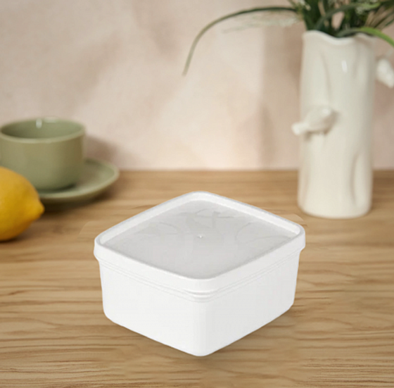 Контейнер для заморозки ALASKA 0.65л белый