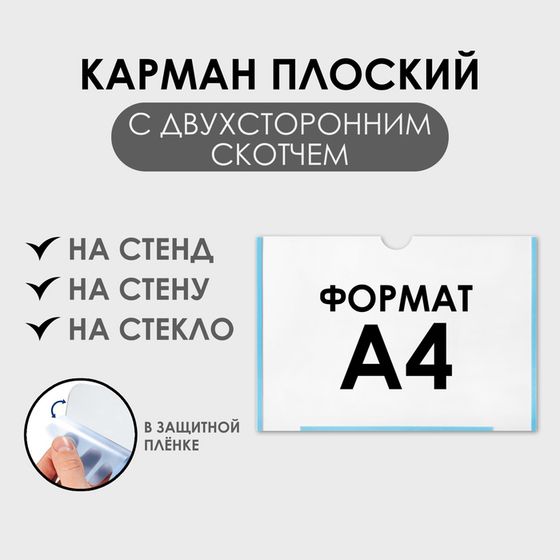 Карман плоский А4, 22,3×0,2×31 см, с двухсторонним скотчем для крепления ПЭТ 0,7 мм (горизонтально)