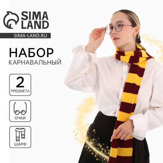 Набор для магии «Юный волшебник» (очки + шарф)