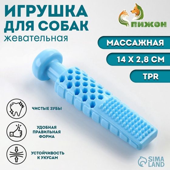 Игрушка для собак &quot;Башня&quot;, TPR,  массажная, 14 х 2,8 см, голубая