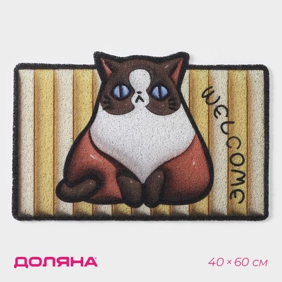 Коврик придверный Доляна «Котик», ПВХ, 40×60 см