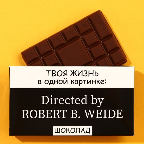 Шоколад молочный «Жизнь в одной картинке», 27 г.