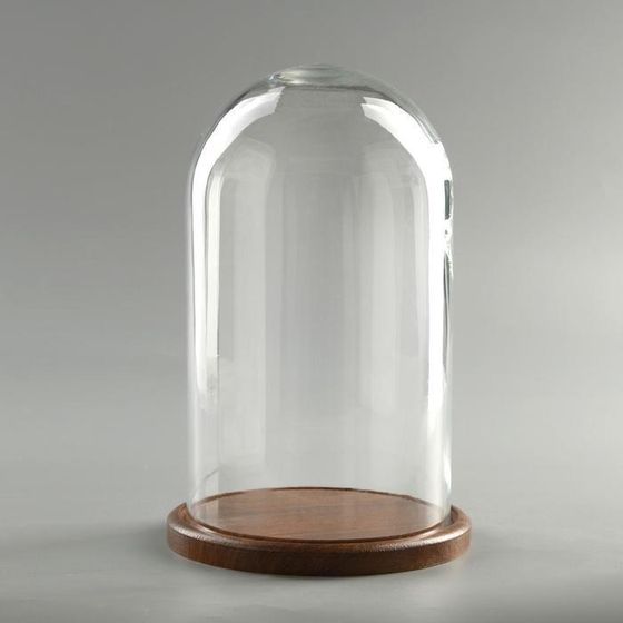 Стеклянный купол-клош на деревянной подставке &quot;Венсан - 1&quot;, 25х15 см, коричневый