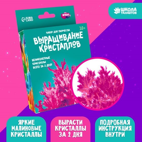 Выращивание кристаллов «Опыты. Лучистый кристалл», цвет малиновый