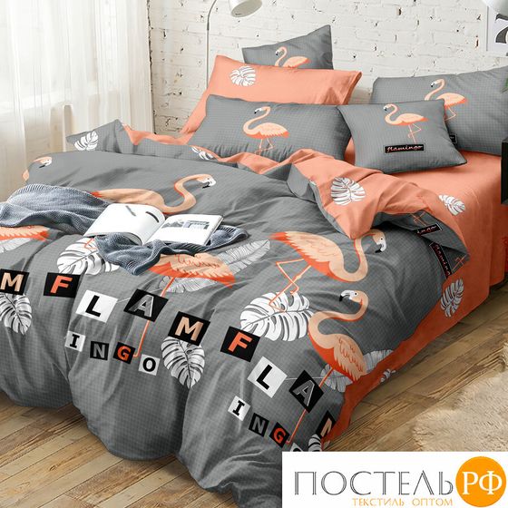 41/310-PC/CL КПБ CL HOME Поплин &quot;Pure Cotton&quot; дуэт 145*215*2 220*240*1(±5) 50*70*2(±2) 70*70*2(±2) в ПВХ 41/310-PC/CL