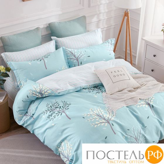 TPIG6-1719 КОД1038, КПБ Twill евро 4 наволочки, 50x70 (2 шт), 70x70 (2 шт), Сатин (Твил), Коробка