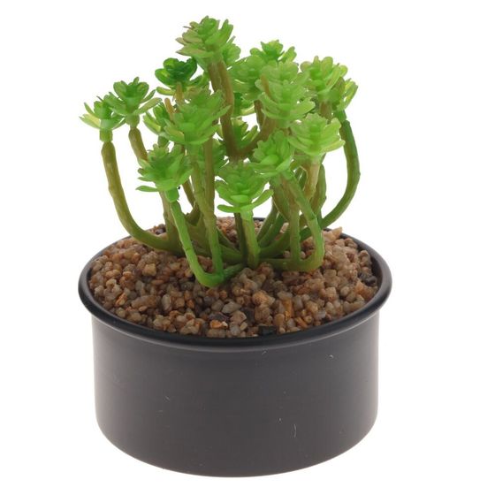 Цветочная композиция, L13 W13 H20 см