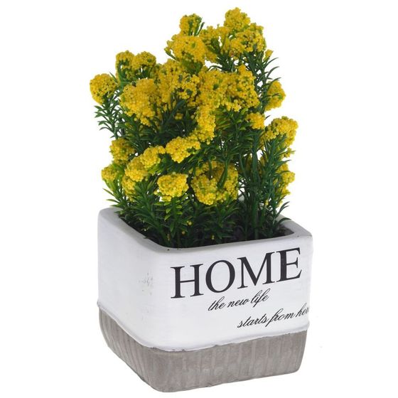 Цветочная композиция, L11 W11 H19 см, 3в.