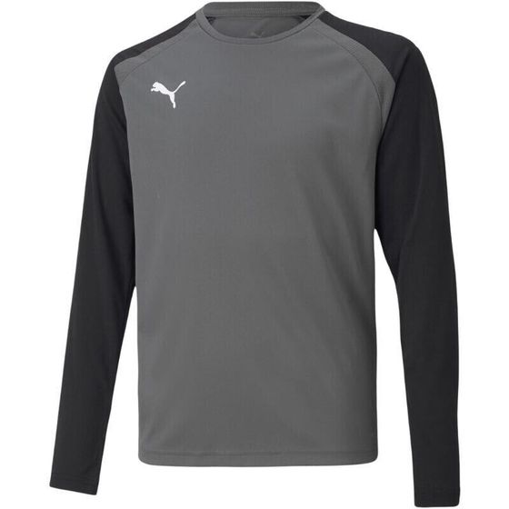 Puma teamPacer GK LS Jersey Jr 704939 43 goalkeeper sweatshirt