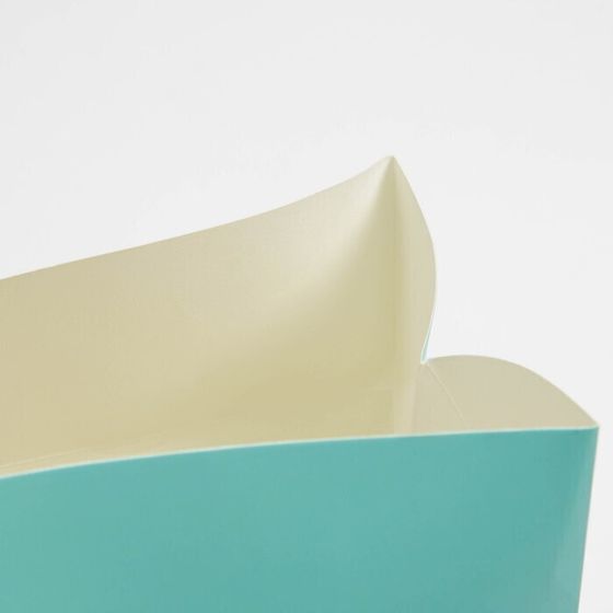 !09 Пакет—коробка Present, (набор 2 штуки), 23 × 18 × 11 см.