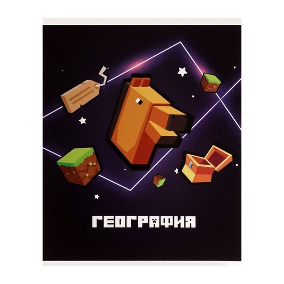 Тетрадь предметная 36 листов в клетку Calligrata, «Пиксели. География», со справочным материалом, обложка мелованный картон, блок офсет